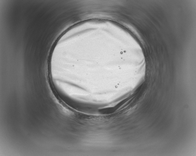 X0000074210999200609221937