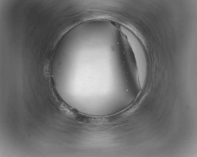 X0000074211001200609221937