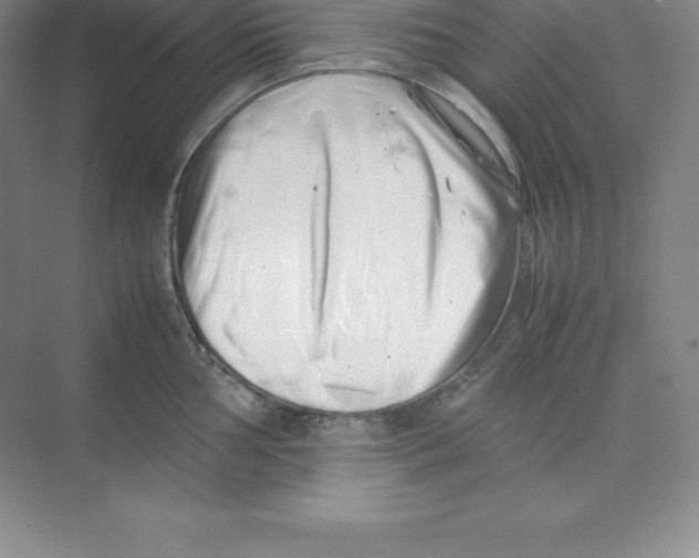 X0000074211002200609221937