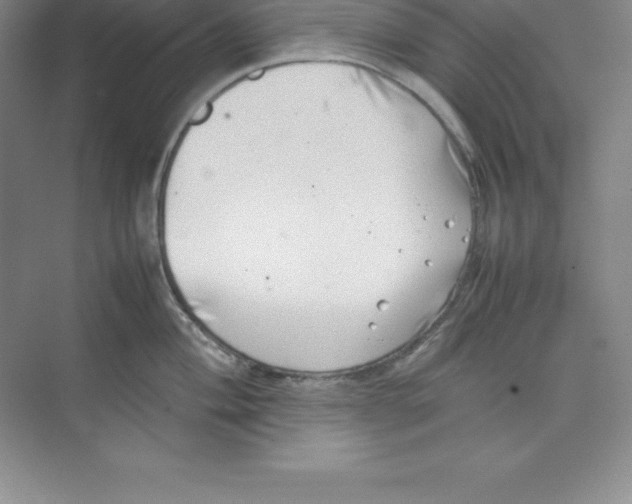 X0000074211004200609221936