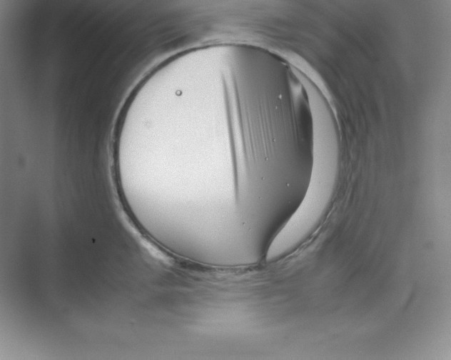 X0000074211005200609221936