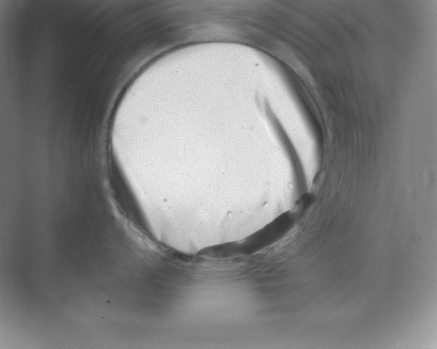 X0000074211008200609221936