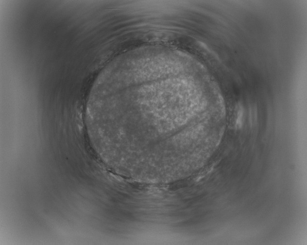 X0000074211013200609221936