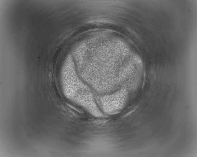 X0000074211014200609221936