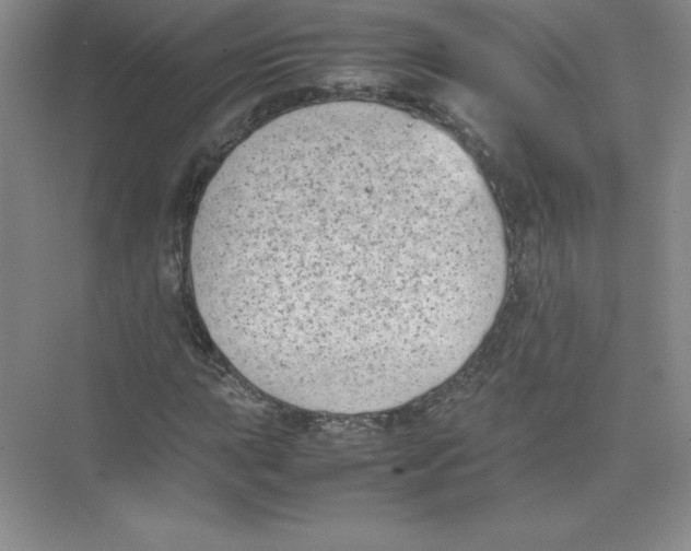 X0000074211015200609221936