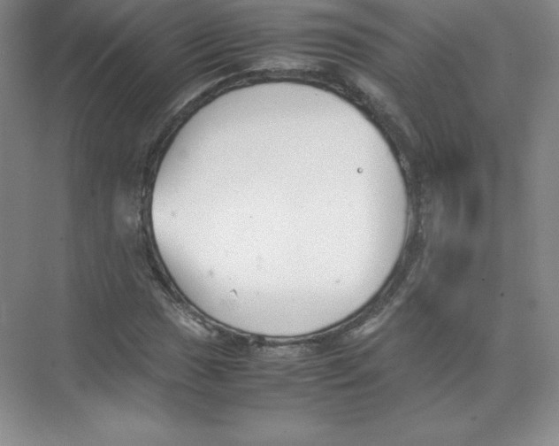 X0000074211017200609221936