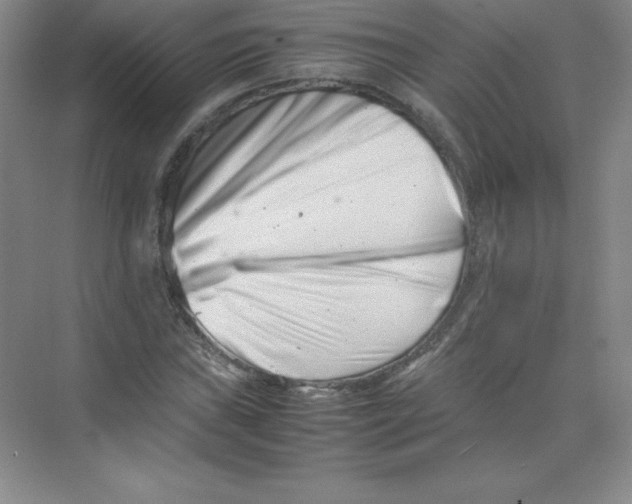 X0000074211019200609221936