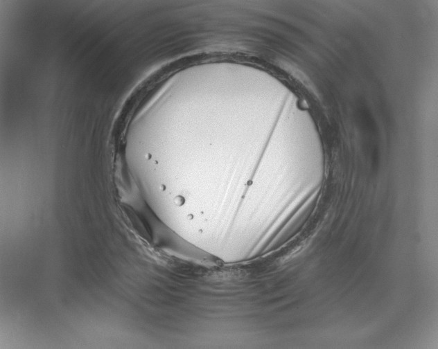 X0000074211021200609221936