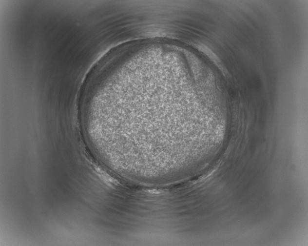 X0000074211023200609221936