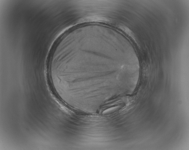 X0000074211024200609221936