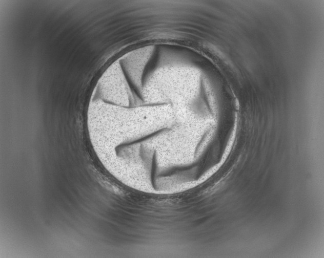 X0000074211025200609221936