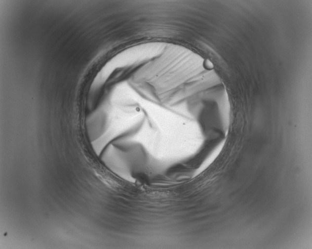 X0000074211027200609221936