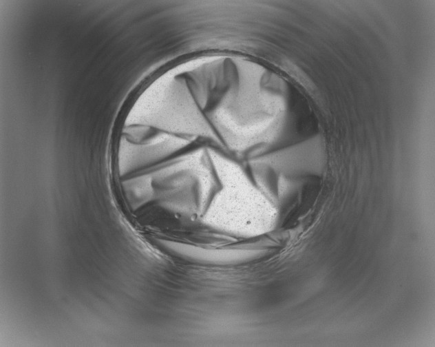 X0000074211028200609221936