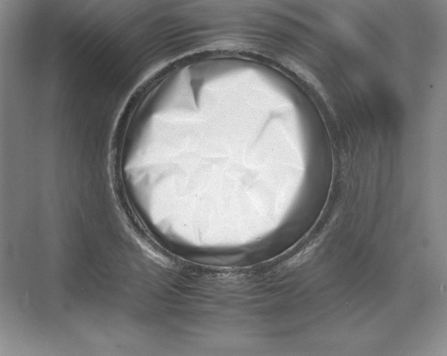 X0000074211029200609221936