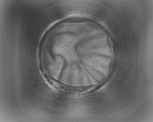 X0000074211030200609221936