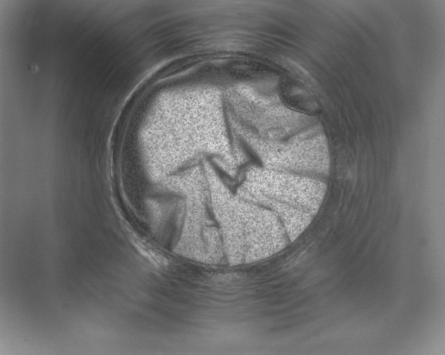 X0000074211031200609221936