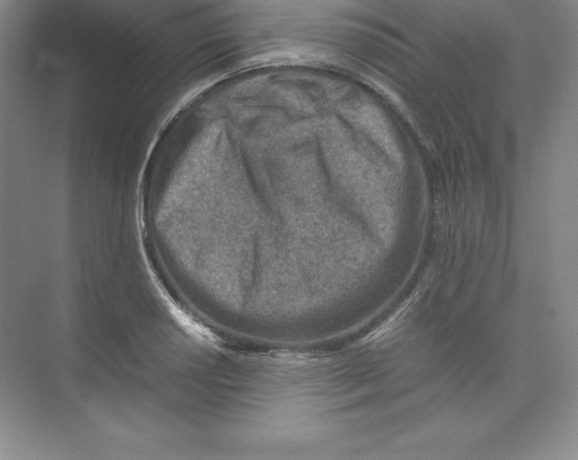 X0000074211034200609221936