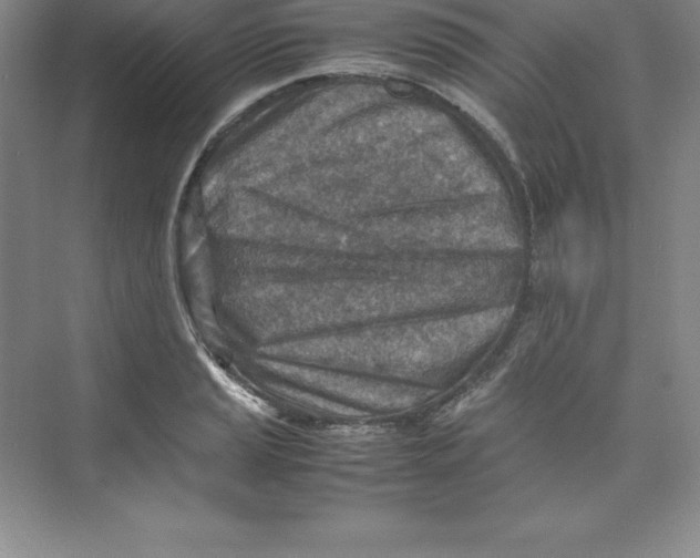 X0000074211037200609221936