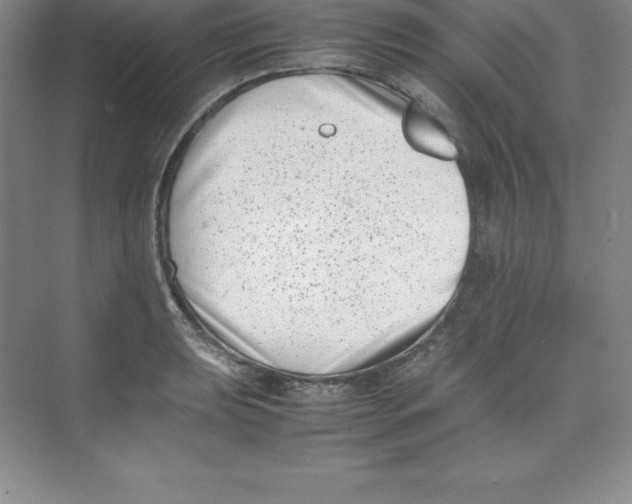 X0000074211039200609221936