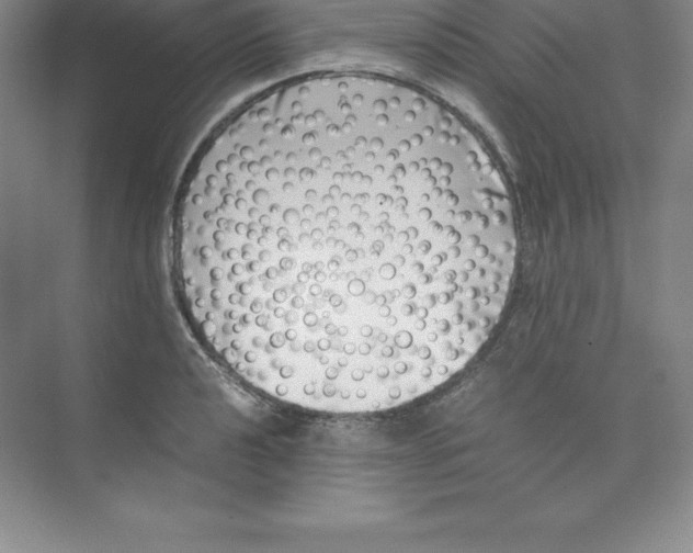 X0000074211040200609221936