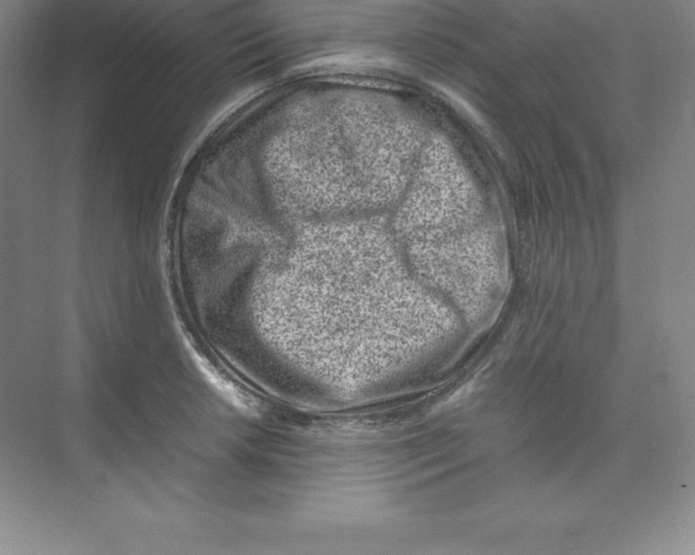 X0000074211042200609221936