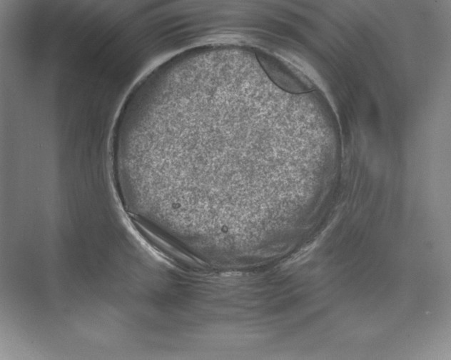 X0000074211045200609221936