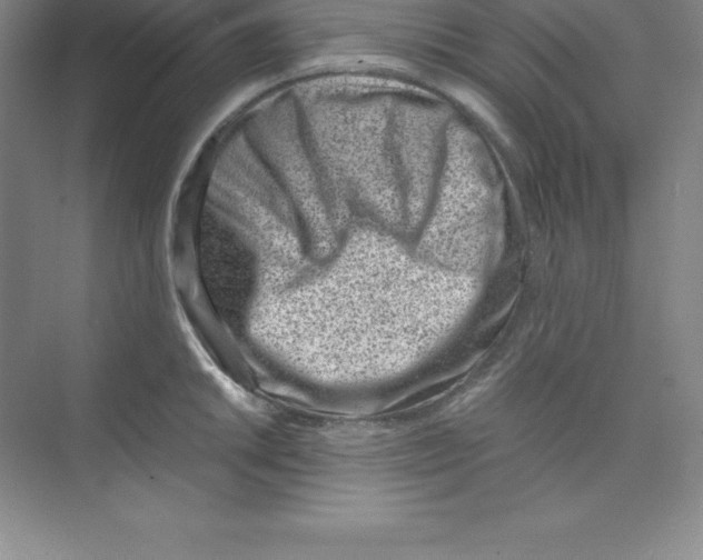 X0000074211046200609221936