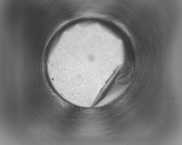 X0000074211048200609221936