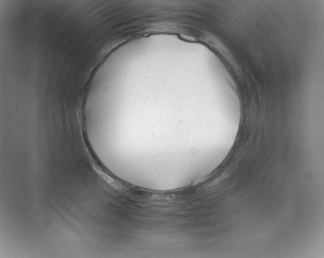 X0000074211049200609221936