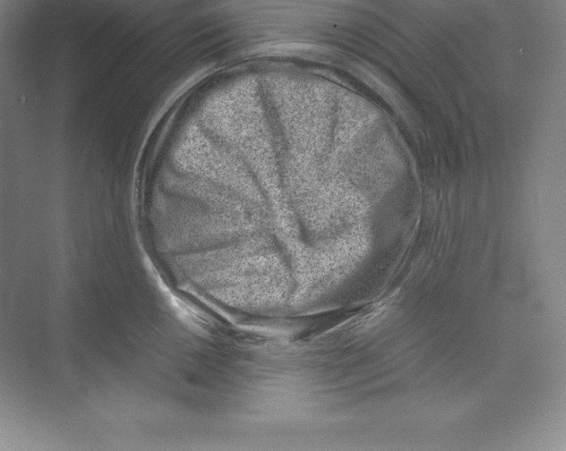 X0000074211050200609221936