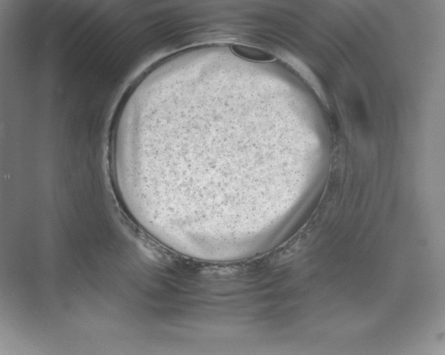 X0000074211051200609221936