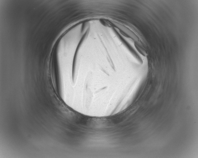 X0000074211052200609221936