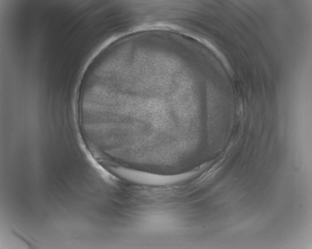 X0000074211054200609221936