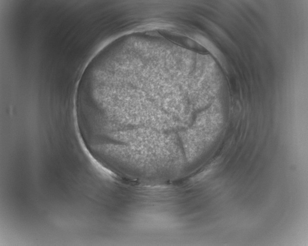 X0000074211055200609221936