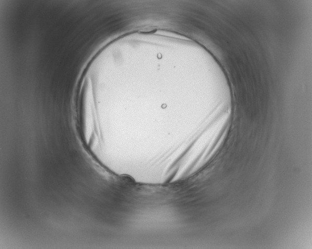 X0000074211056200609221936