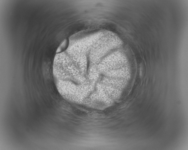 X0000074211059200609221936