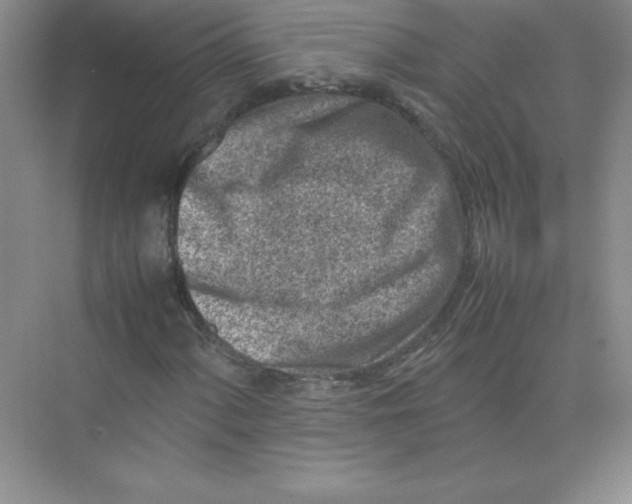 X0000074211060200609221936