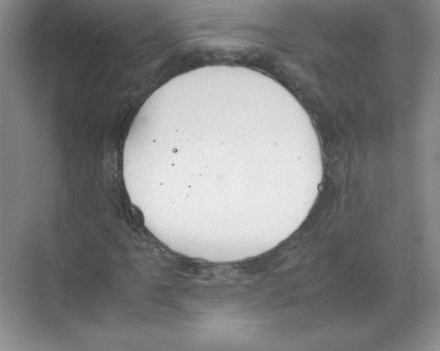 X0000074211061200609221936