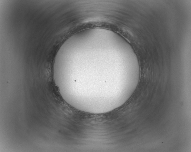 X0000074211062200609221935