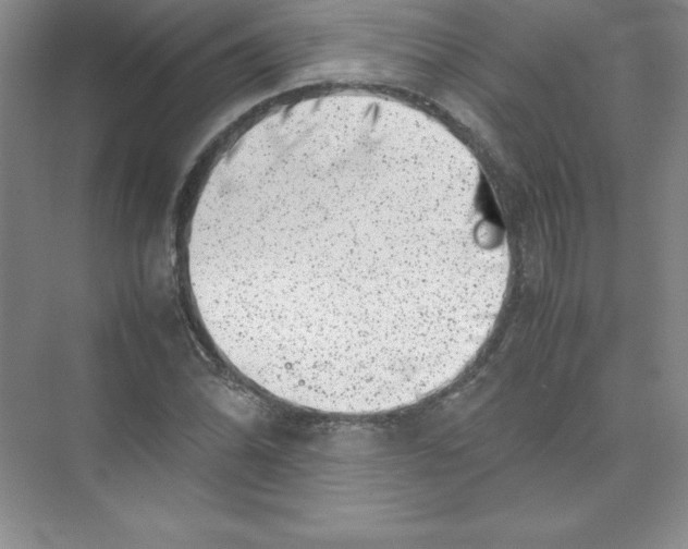 X0000074211070200609221935