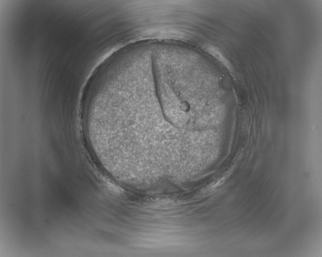 X0000074211071200609221935