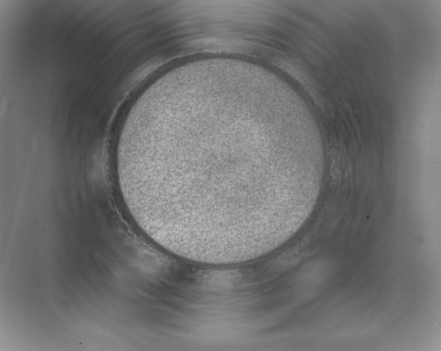 X0000074211074200609221935