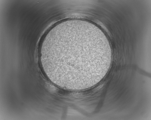 X0000074211075200609221935