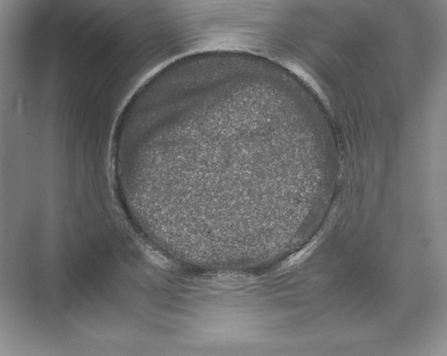 X0000074211077200609221935