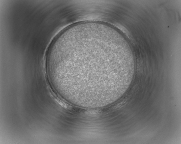 X0000074211078200609221935