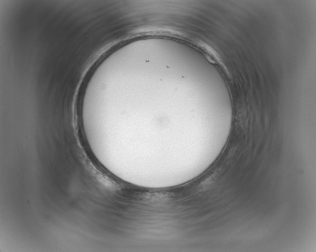 X0000074211082200609221935