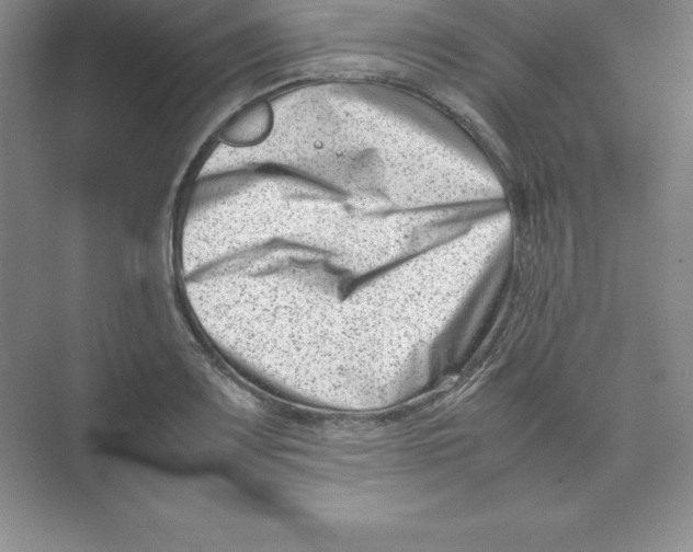 X0000074211083200609221935