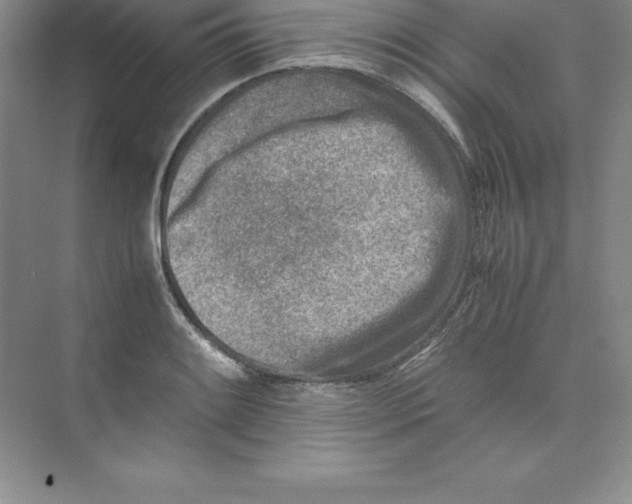 X0000074211084200609221935