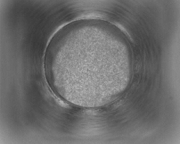 X0000074211086200609221935