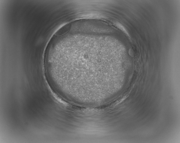 X0000074211087200609221935